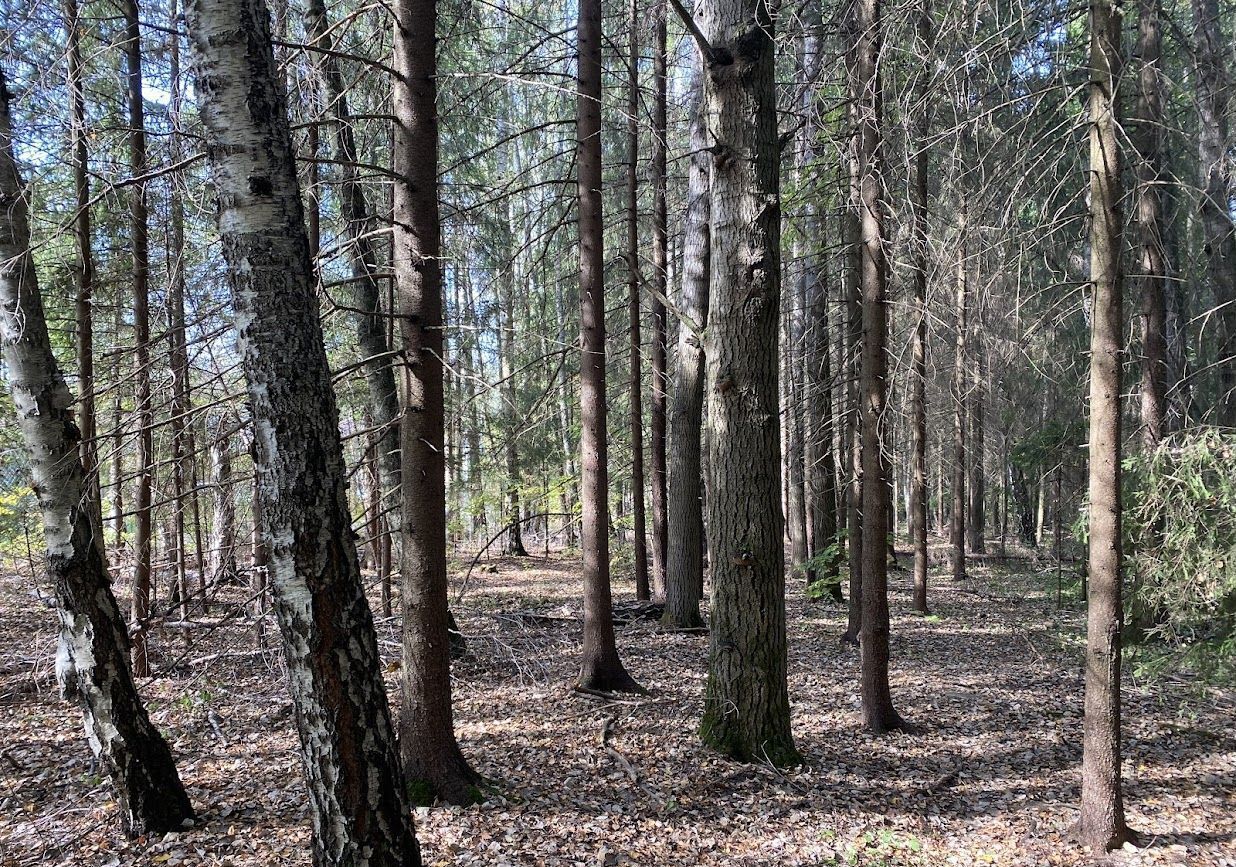 земля городской округ Наро-Фоминский д Обухово 9777 км, Кубинка, Минское шоссе фото 21