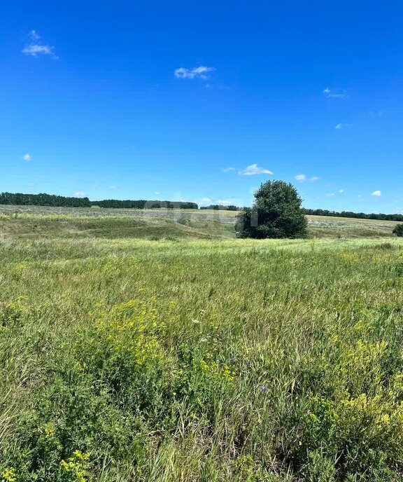 земля р-н Белгородский с Шишино пер 2-й Весенний фото 4