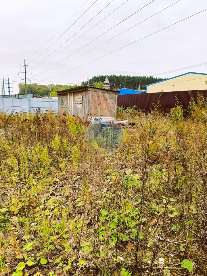 земля городской округ Ленинский с Молоково ул Революционная Домодедовская, Новорязанское шоссе фото 3