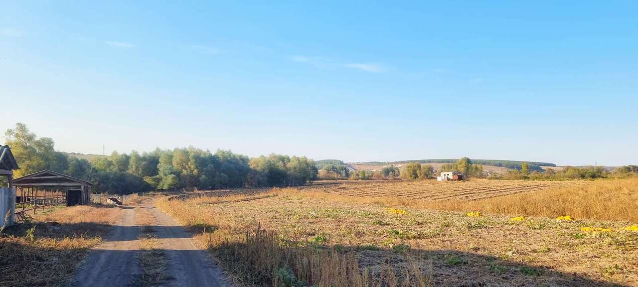 земля р-н Белгородский с Севрюково фото 39