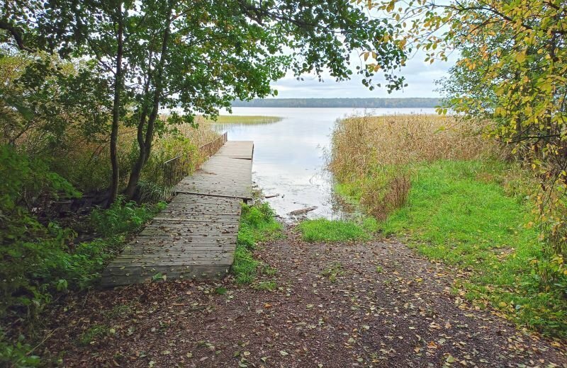 дом р-н Выборгский п Цвелодубово ул Зеленая фото 26