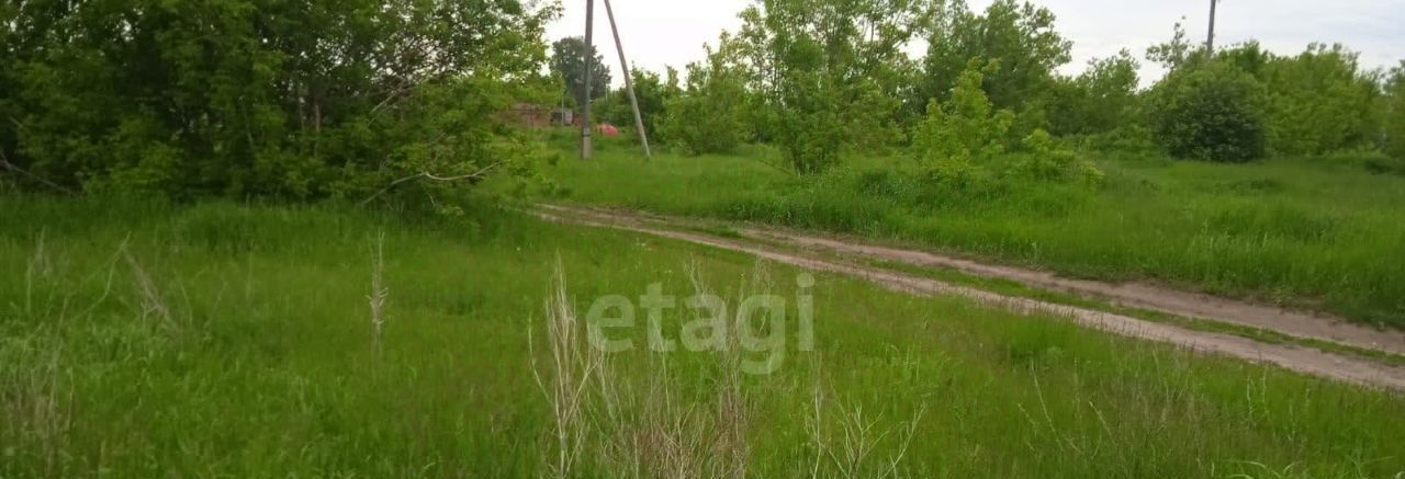 дом р-н Петропавловский с Петропавловское ул Советская 51 фото 5