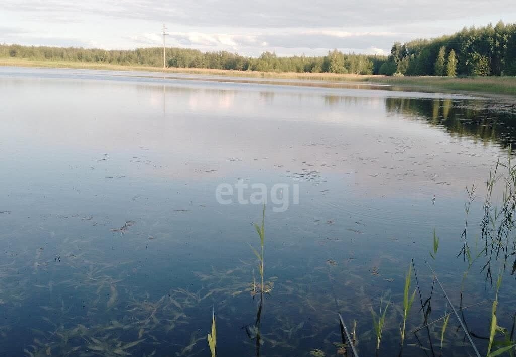 дом р-н Шуйский с Пустошь хутор Матня, Палех, Афанасьевское сельское поселение фото 2