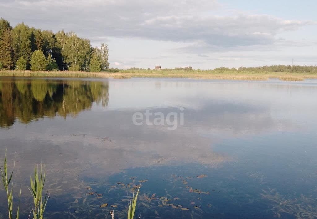 дом р-н Шуйский с Пустошь хутор Матня, Палех, Афанасьевское сельское поселение фото 3