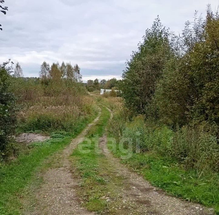 земля г Светлый п Люблино Светловский городской округ фото 4