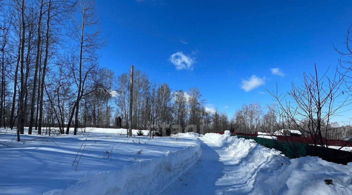 земля р-н Искитимский Морозовский сельсовет, Успех СПК фото 22