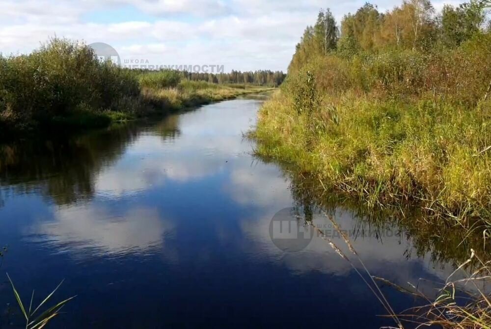 земля р-н Всеволожский д Лепсари Романовское сельское поселение фото 1