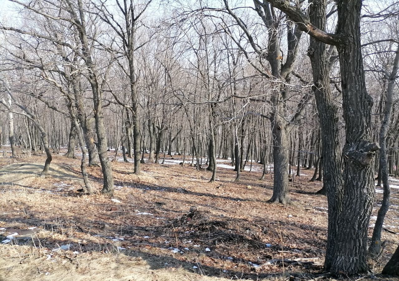 земля г Саратов р-н Ленинский ул Волновая фото 20