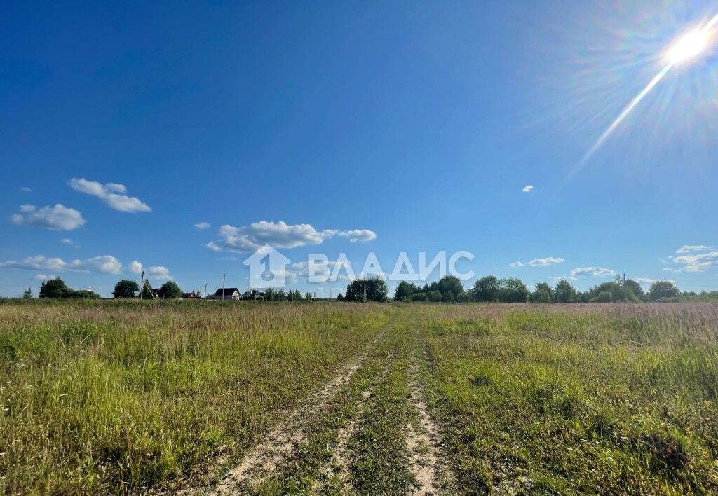 земля городской округ Клин д Плюсково 9795 км, Клин, Рогачёвское шоссе фото 1