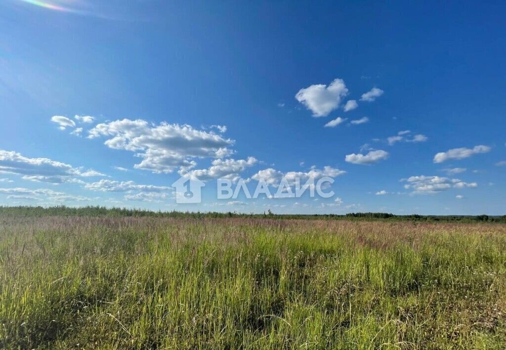 земля городской округ Клин д Плюсково 9795 км, Клин, Рогачёвское шоссе фото 2