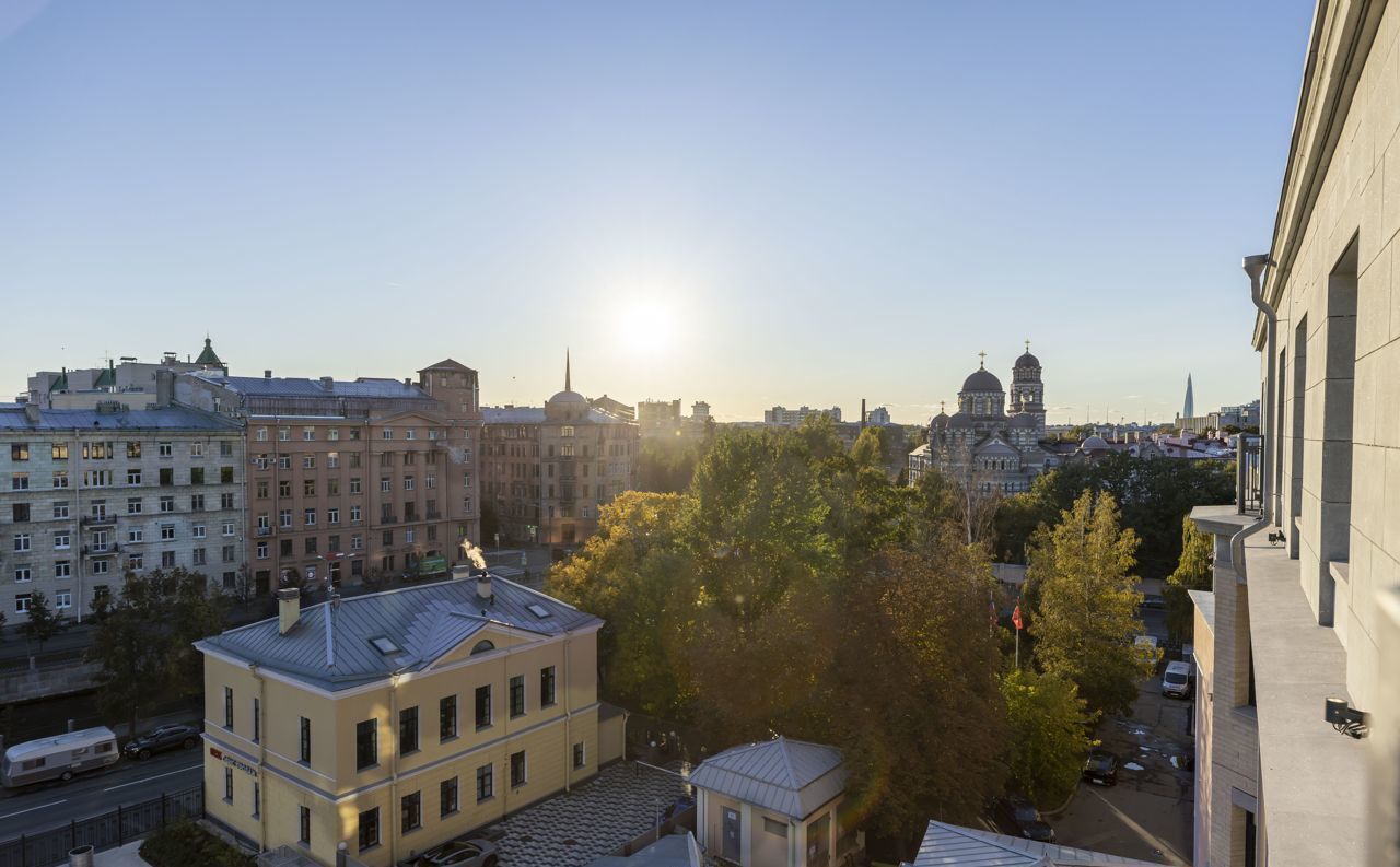 квартира г Санкт-Петербург метро Петроградская наб Реки Карповки 31к/1 фото 15