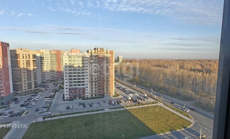 квартира г Новосибирск пр-кт Красный 324 городской округ Новосибирск фото 8