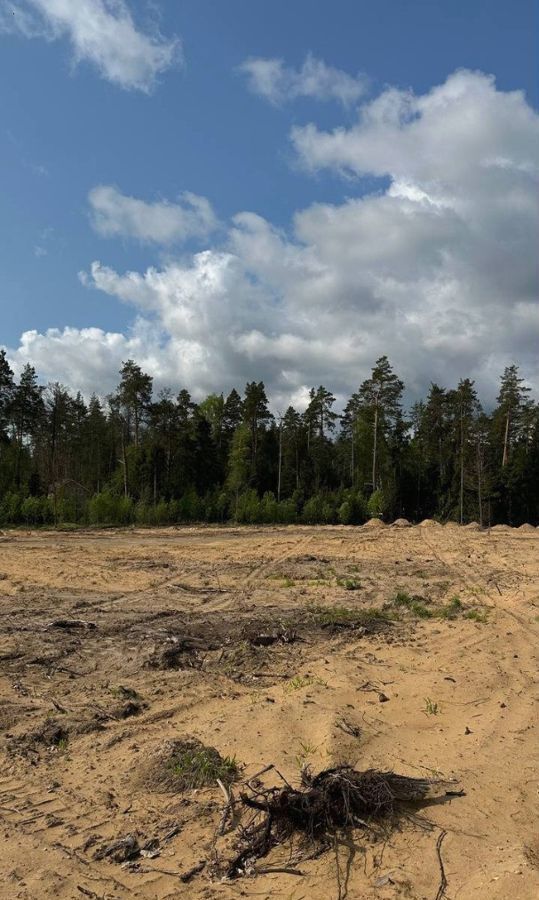 земля городской округ Богородский п Воровского 9750 км, 31, СНТ Вишенка, Носовихинское шоссе фото 20