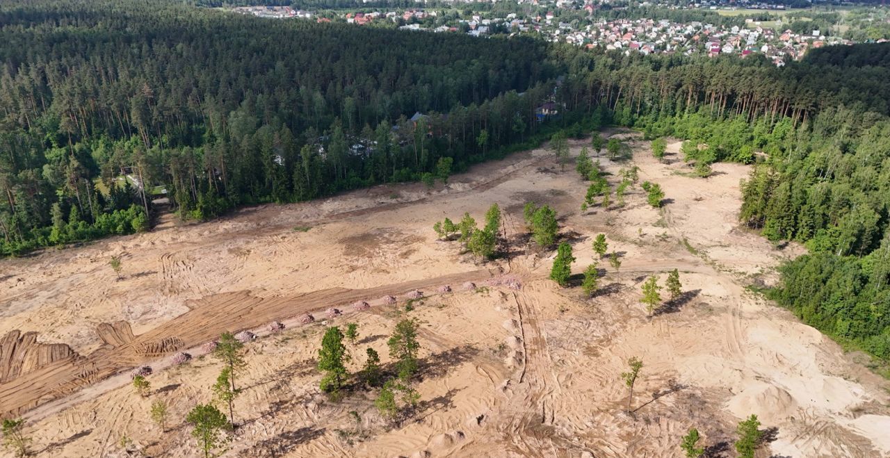 земля городской округ Богородский п Воровского 9750 км, 31, СНТ Вишенка, Носовихинское шоссе фото 13