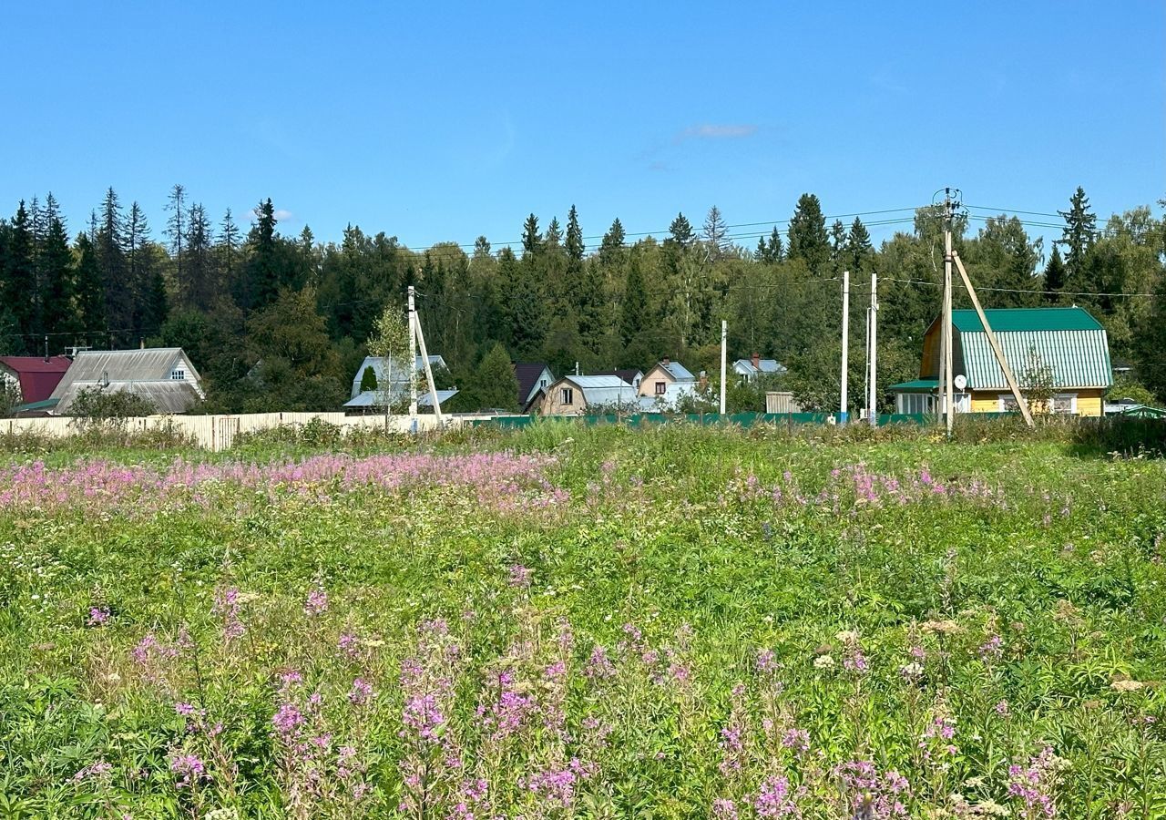 земля городской округ Клин д Вертково 9792 км, Новопетровское, Новорижское шоссе фото 5