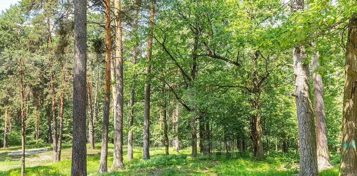 земля городской округ Красногорск д Поздняково Никольская Слобода кп, Аникеевка фото 2