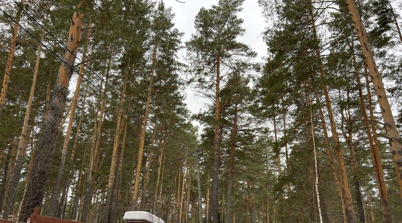 земля р-н Белорецкий д Катайка пер Лесной Нурский сельсовет фото 1