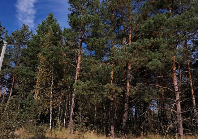 земля Заборьевское сельское поселение, Рязань фото