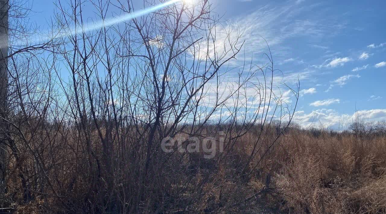 земля г Благовещенск п Зазейский фото 4