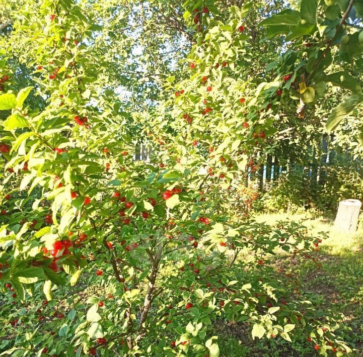 дом р-н Благовещенский с Волково ул Ленина фото 20