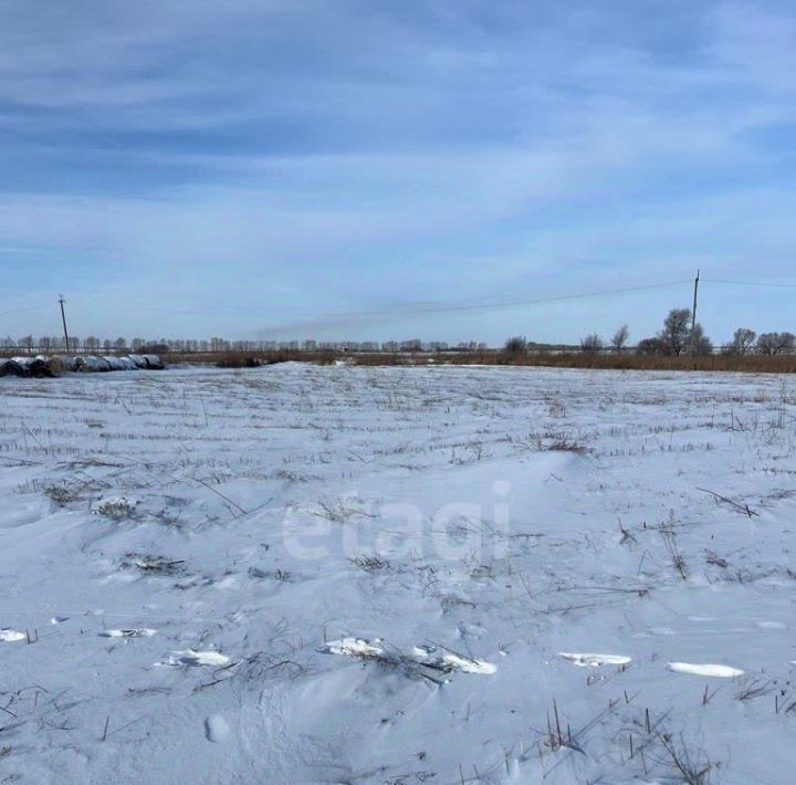 дом р-н Благовещенский с Удобное ул Северная фото 6