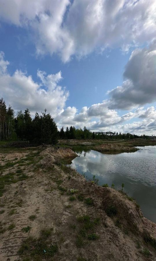 земля городской округ Богородский г Ногинск 9762 км, село Малое Буньково, Горьковское шоссе фото 17