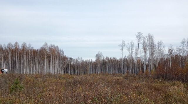 Тюбукское с/пос, Сунгуль загородный посёлок фото