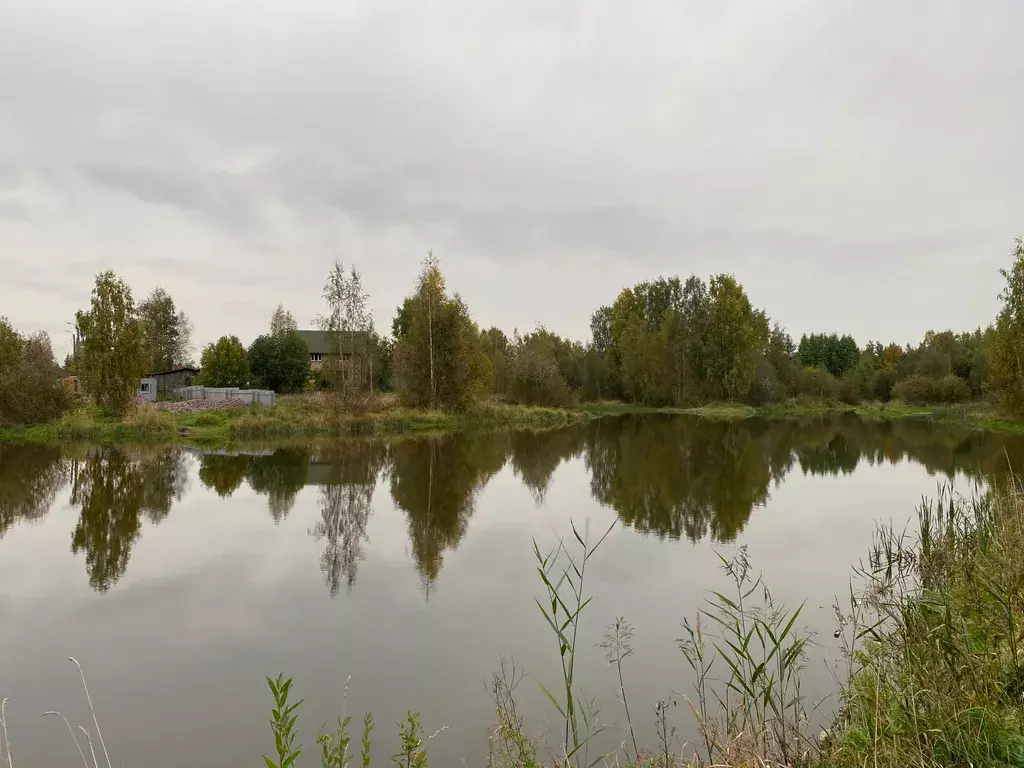 дом г Санкт-Петербург метро Автово ул Ломоносова 21с/1 территория Горелово, Ленинградская область фото 13