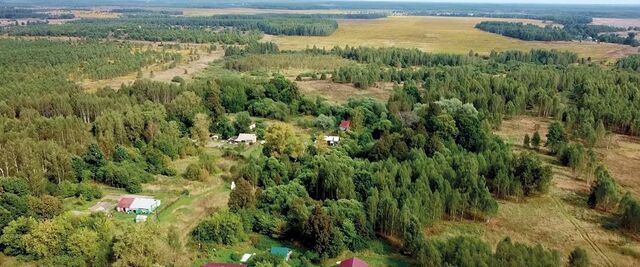 д Байково Сергеихинское муниципальное образование фото