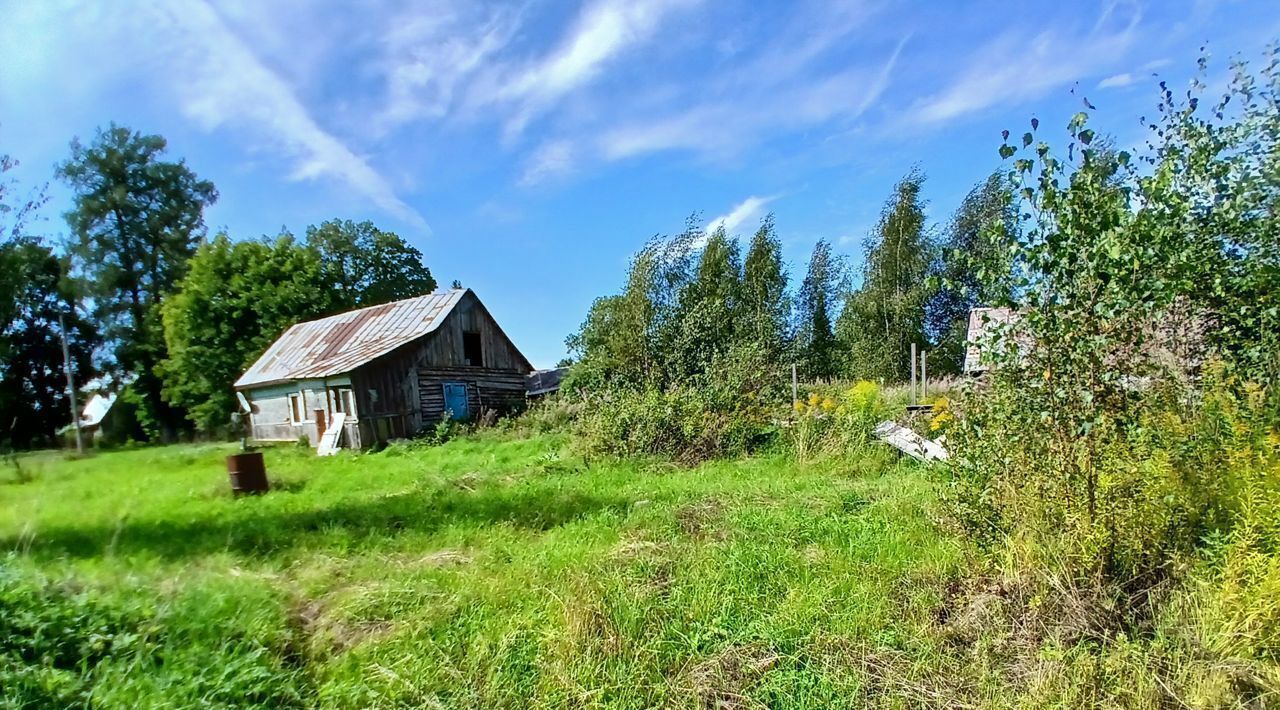 земля р-н Гатчинский д Большево ул Центральная 123 фото 7