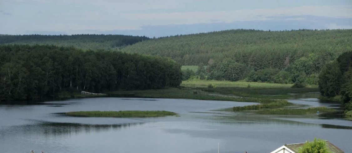 дом р-н Сысертский п Двуреченск ул Набережная 55 фото 17