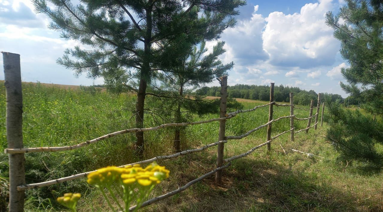 дом городской округ Коломенский с Подберезники ул Полевая Коломна городской округ фото 33