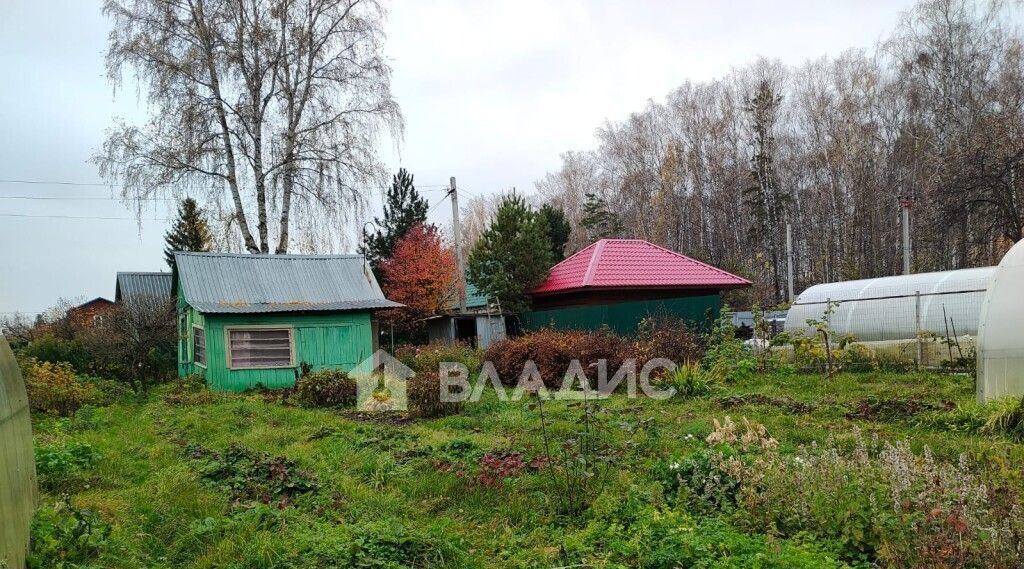 земля г Новосибирск Заельцовская снт Любитель садоводческое товарищество, 128 фото 1