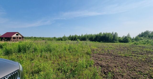 муниципальное образование Боголюбовское, Пальмовая ул, Боголюбово фото