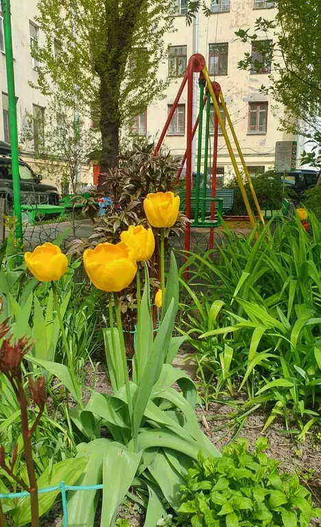 квартира г Санкт-Петербург метро Садовая ул Большая Подьяческая 22 Ленинградская область фото 47