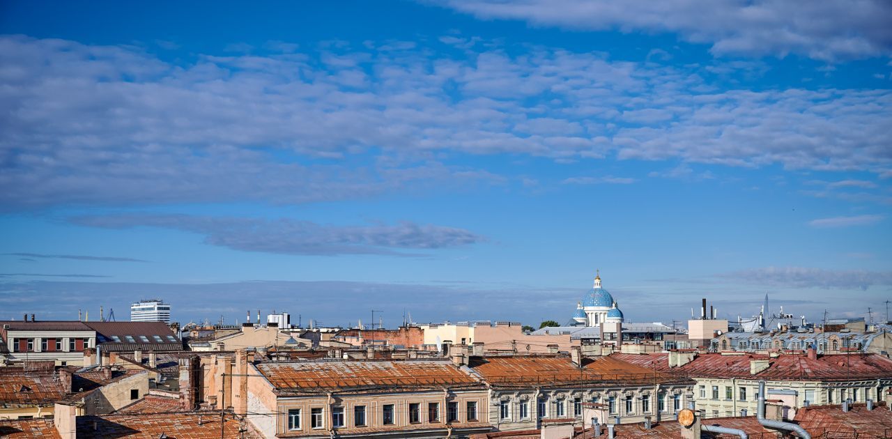 квартира г Санкт-Петербург метро Фрунзенская пр-кт Малодетскосельский 40 фото 11