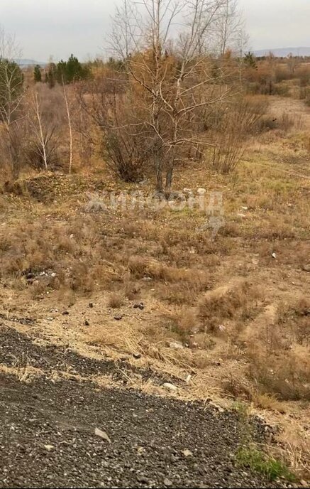 земля р-н Читинский посёлок Лесной Городок фото 3