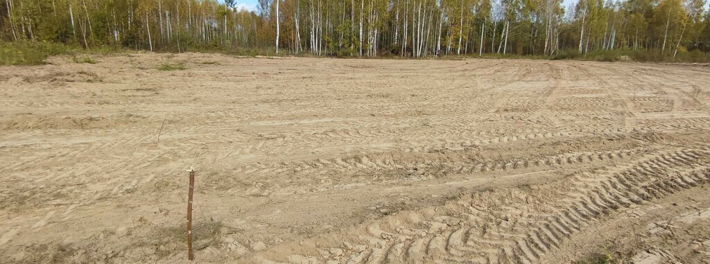 земля р-н Чкаловский д Васильково Московская, Центральная улица, городской округ Бор фото 1