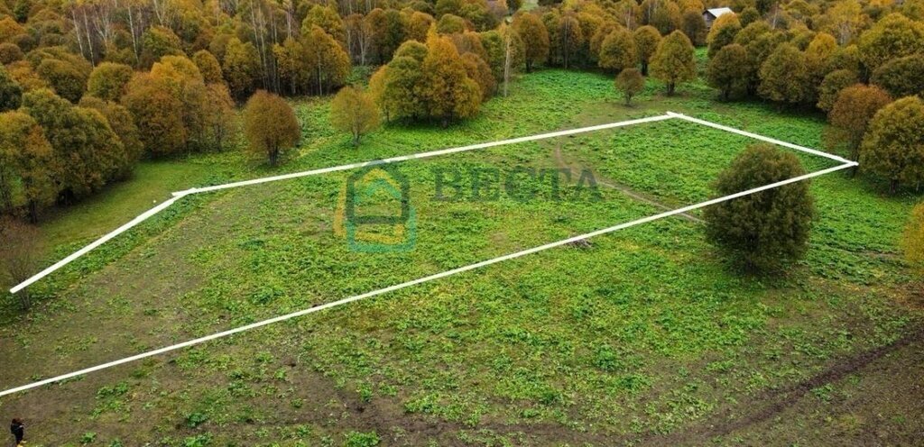 земля р-н Волосовский д Синковицы Бегуницкое сельское поселение фото 2