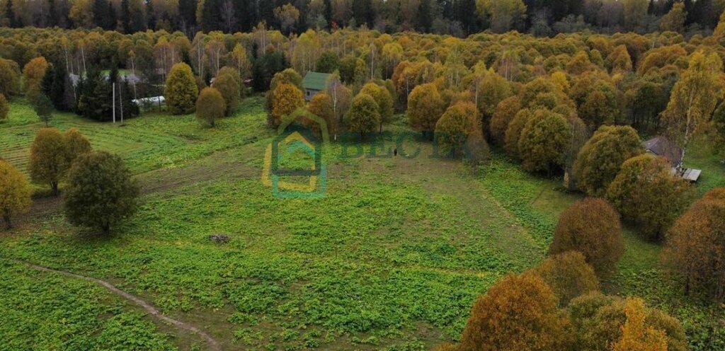 земля р-н Волосовский д Синковицы Бегуницкое сельское поселение фото 3