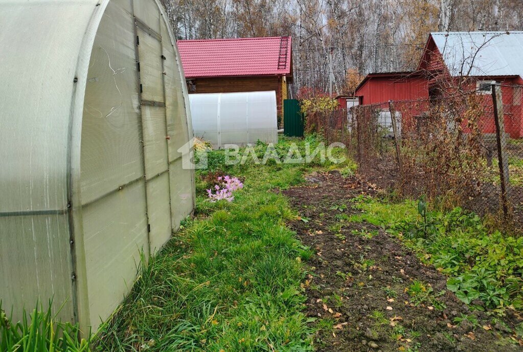 земля г Новосибирск р-н Заельцовский Заельцовская садоводческое товарищество Любитель, 128 фото 9