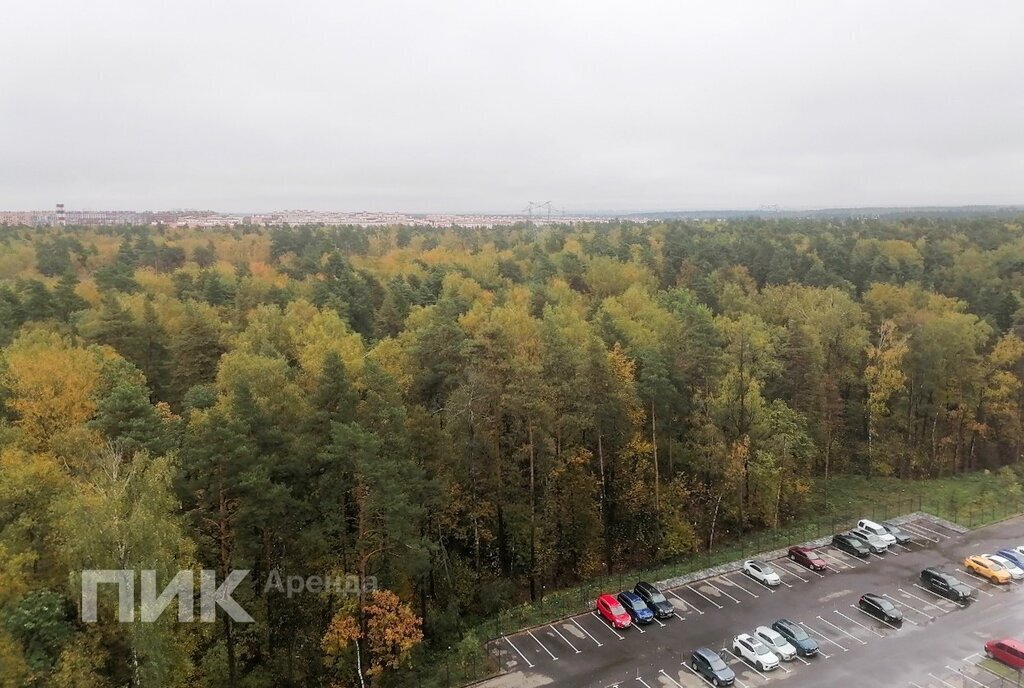 квартира городской округ Ленинский д Боброво ул Лесная 14 Бутово фото 9