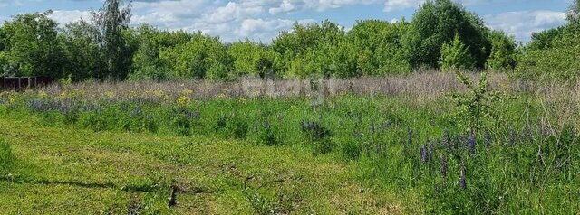 земля г Новомосковск фото