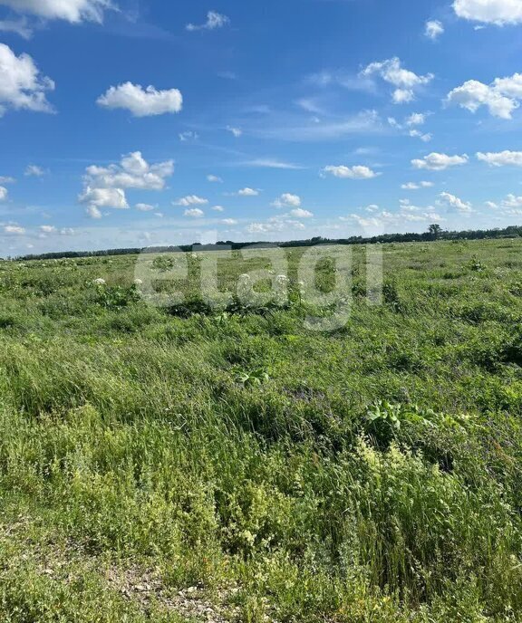 земля р-н Новомосковский г Новомосковск фото 2