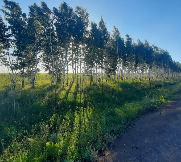 земля р-н Ленинский п Ильинка муниципальное образование фото 4