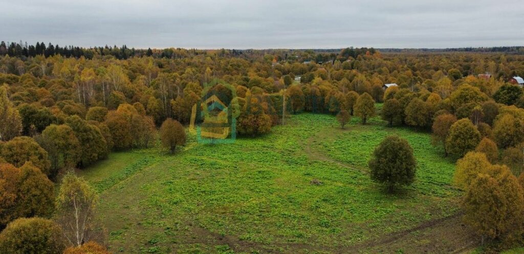 земля р-н Волосовский д Синковицы Бегуницкое сельское поселение фото 5