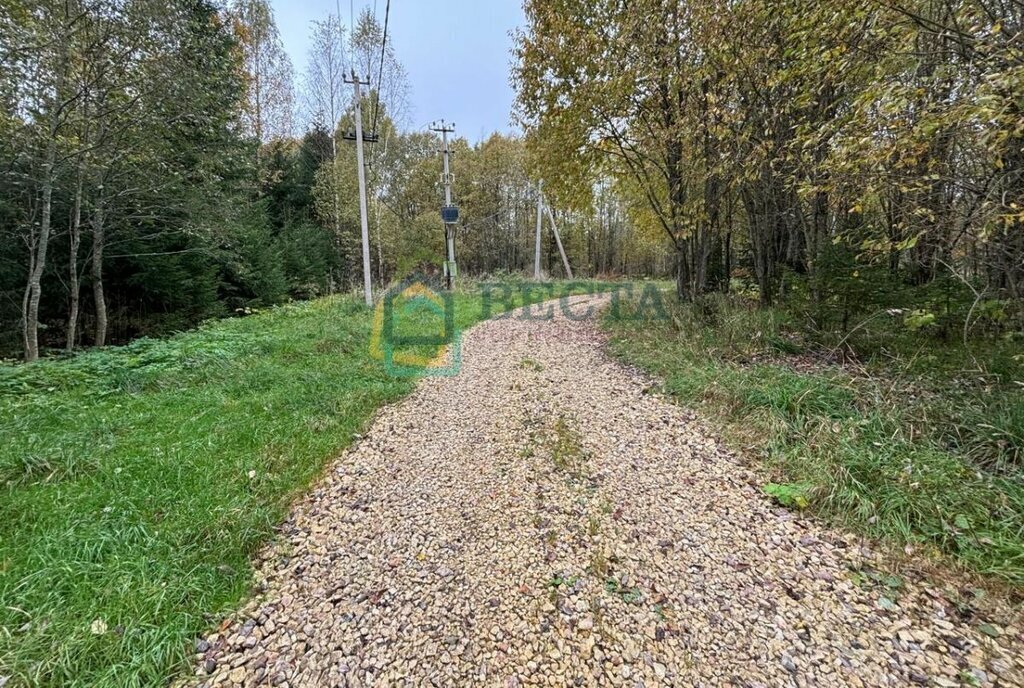 земля р-н Волосовский д Синковицы Бегуницкое сельское поселение фото 7