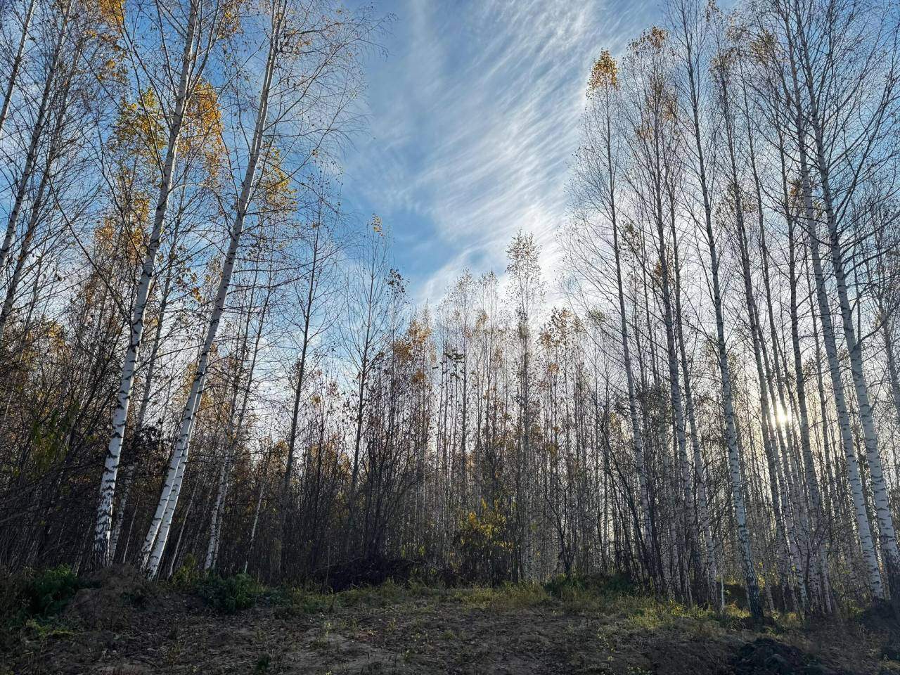 земля р-н Новосибирский п Каменушка ул Горнолыжная фото 10