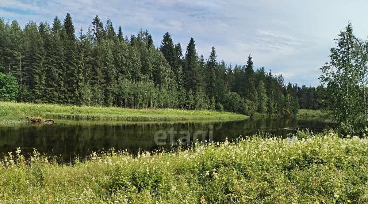 земля р-н Плесецкий п Самодед ул Новая Биржа фото 3