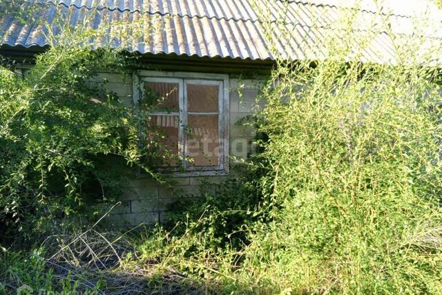 городской округ Черногорск, СТ Черногорский фото